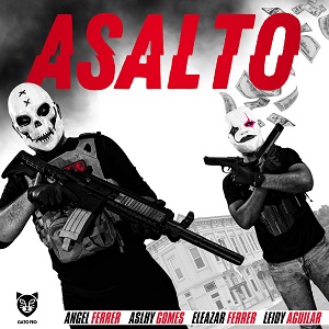 29 ASALTO
