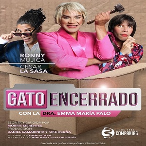 05 LAS PADRINAS MÁGICAS